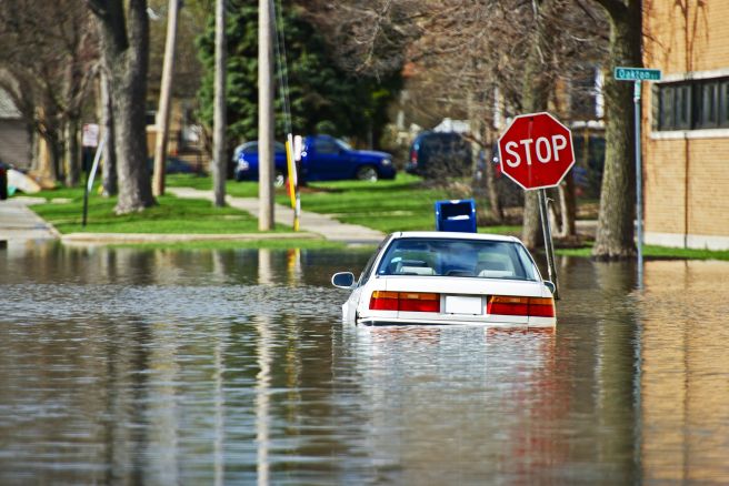 Flooded Cars